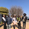 Miss Soweto pageant highlight